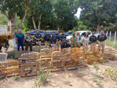 Operação do Inema e da PRF resgata cerca de 1,2 mil aves silvestres na região norte do estado