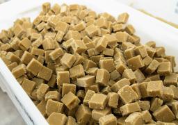 Agroindústria de cana-de-açúcar em Condeúba traz oportunidade de renda para jovens rurais