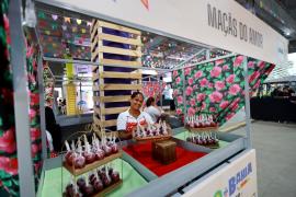 Ações de igualdade e combate à violência de gênero marcam o São João da Bahia