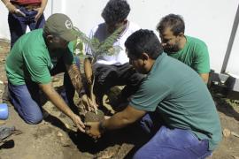 Palestras interativas em escolas marcam a passagem da Caravana Bahia Sem Fogo no município de Buritirama