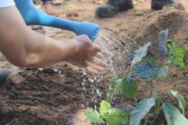 Palestras interativas em escolas marcam a passagem da Caravana Bahia Sem Fogo no município de Buritirama