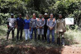 Jacaré resgatado na Pituba é devolvido à natureza, junto a outros animais reabilitados
