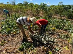 Parceria entre a CAR e consórcios públicos criam novas perspectivas para agricultores familiares