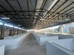 Novo mercado municipal impulsiona agricultura familiar de Santa Rita de Cássia