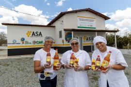 Bahia celebra o Dia do Apicultor com destaque na produção nacional de mel