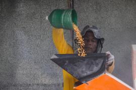 Dia Internacional do Milho é celebrado por famílias do semiárido baiano