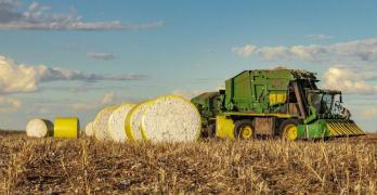 WhatsApp Image 2024-05-24 at 13.35.18