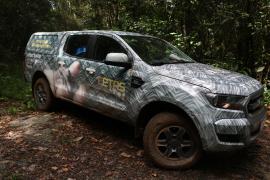Soltura de animais silvestres nos municípios de Entre Rios e Barro Preto celebra a Semana do Meio Ambiente