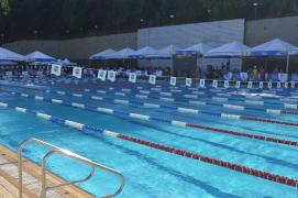 Nadando em casa, baianos buscam medalhas e melhores resultados em evento nacional infantil