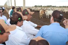 Governador visita primeiro dia da Bahia Farm Show, em Luís Eduardo Magalhães, e lança nova etapa do programa de agricultura de baixo carbono