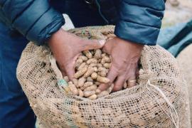 Feira de São João retorna à Ceasa nesta quarta-feira (5) e deve movimentar a economia baiana em junho