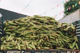Feira de São João retorna à Ceasa nesta quarta-feira (5) e deve movimentar a economia baiana em junho