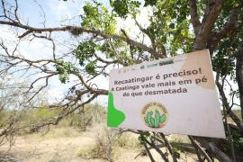 Missão climática pela Caatinga acontece em Juazeiro com presença de governador do estado e ministra do Meio Ambiente