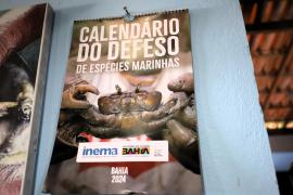 Governo da Bahia inaugura primeira área de restauração de corais marinhos na Baía de Todos-os-Santos