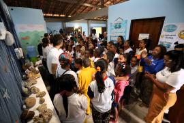 Governo da Bahia inaugura primeira área de restauração de corais marinhos na Baía de Todos-os-Santos