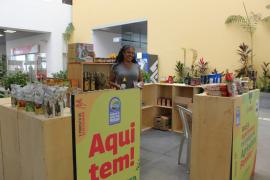 Agricultura familiar está presente na 8ª Feira da Sustentabilidade do TJ/BA