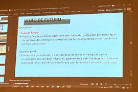 Bahia integra discussões sobre conservação dos canídeos silvestres em Oficina Nacional em São Paulo