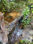 Projeto executado com apoio do Governo da Bahia recupera mais de 100 nascentes na região Oeste