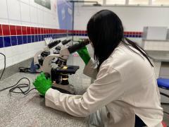 Estudantes da rede estadual apresentam projeto de luvas biodegradáveis na 76ª Reunião da SBPC