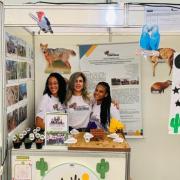 Estudantes da rede estadual de Caldeirão Grande criam projeto em defesa da Caatinga