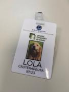 Hospital Ortopédico implementa Terapia Assistida por Animais para apoiar recuperação de pacientes