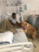 Hospital Ortopédico implementa Terapia Assistida por Animais para apoiar recuperação de pacientes