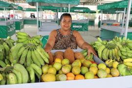 Camacã recebe reforma de mercado municipal para dinamizar agricultura familiar