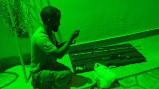 Cetas do Inema resgata onça-parda em Anagé, região sudoeste da Bahia