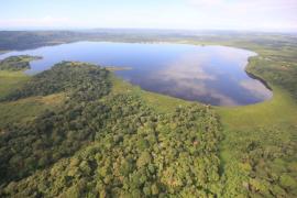 Chocolat Festival em Ilhéus oferece visita a fábricas de cacau e chocolate, praias e ´magia´ de Jorge Amado
