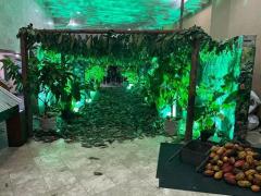 Governo fortalece turismo, agricultura familiar e economia solidária no Chocolat Festival Ilhéus