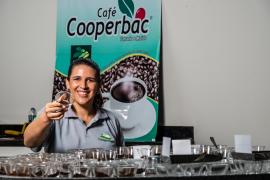 Cooperativas da Agricultura Familiar ganham destaque na Feira Baiana de Cafés Especiais