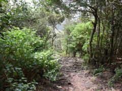 Parque Estadual das Sete Passagens sediará Dia de Campo da Caravana Bahia Sem Fogo neste sábado (3)