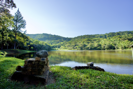 Inema certifica nova área para reintrodução de animais silvestres no norte da Bahia