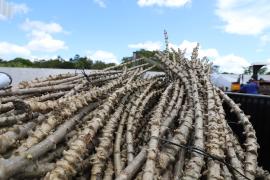 Entregas em Amargosa promovem autonomia a agricultores familiares do Vale do Jiquiriçá
