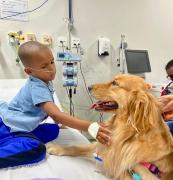 Visita de cadela terapeuta leva alegria e bem-estar a crianças no Hospital Estadual 2 de Julho
