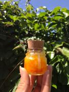 Estudantes de Santa Bárbara utilizam maracujá do mato para criar velas aromáticas