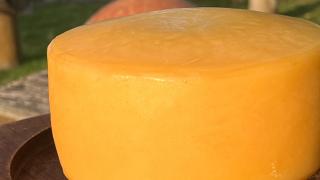 Festival do Queijo Artesanal da Bahia une música, tradição, inovação e gastronomia em Salvador