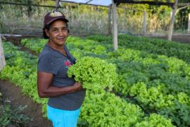 Horta Comunitária em Camacan gera renda e abastece programas institucionais de alimentação