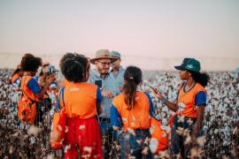 Inscrições para o Prêmio Abapa de Jornalismo 2024 encerram em 20 de setembro