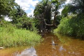 Inema reforça monitoramento para garantir uso sustentável da água na sub-bacia do Rio Utinga