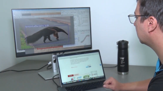 Qualidade do ar, cerveja artesanal e madeira da caatinga são temas do Univerciência na TVE