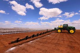 IBGE mantém previsão de queda para safra de grãos 2024 e Conab estima safra recorde para ciclo 2024/2025