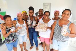 Produção de ovos de galinha caipira gera renda em comunidade quilombola de Araçás