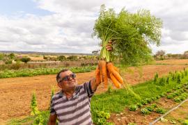 Agricultura Familiar garante alimentos nutritivos para estudantes da rede estadual em Nova Soure