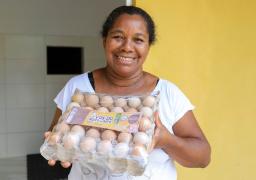 Produção de ovos de galinha caipira gera renda em comunidade quilombola de Araçás