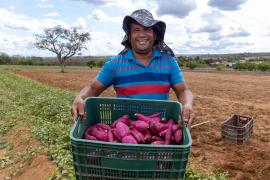 Agricultura Familiar garante alimentos nutritivos para estudantes da rede estadual em Nova Soure
