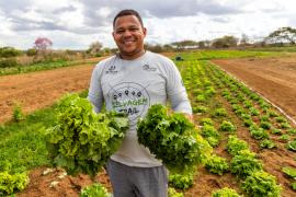 Agricultura Familiar garante alimentos nutritivos para estudantes da rede estadual em Nova Soure