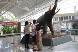 Museu Geológico da Bahia é um ótimo destino no feriado de 12 de outubro