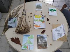 Três colégios estaduais da Bahia são destaques na 12ª Olimpíada Brasileira de Saúde e Meio Ambiente