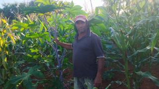 Nova Lei do Combustível do Futuro abre oportunidades para Agricultura Familiar da Bahia